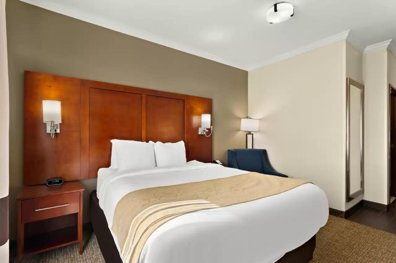 Comfort Suites Central Корпъс Кристи Екстериор снимка