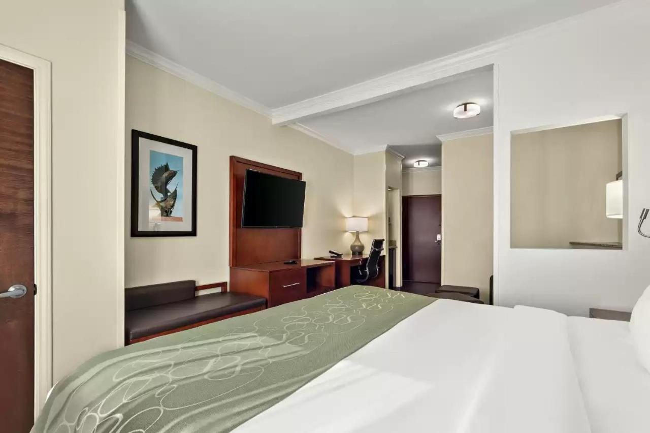 Comfort Suites Central Корпъс Кристи Екстериор снимка