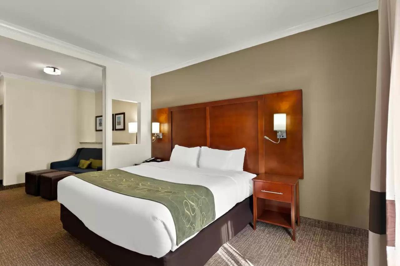 Comfort Suites Central Корпъс Кристи Екстериор снимка