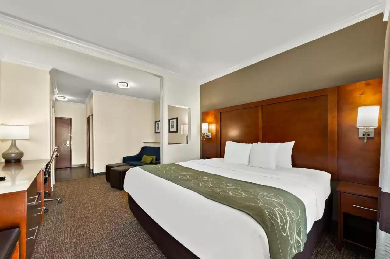 Comfort Suites Central Корпъс Кристи Екстериор снимка