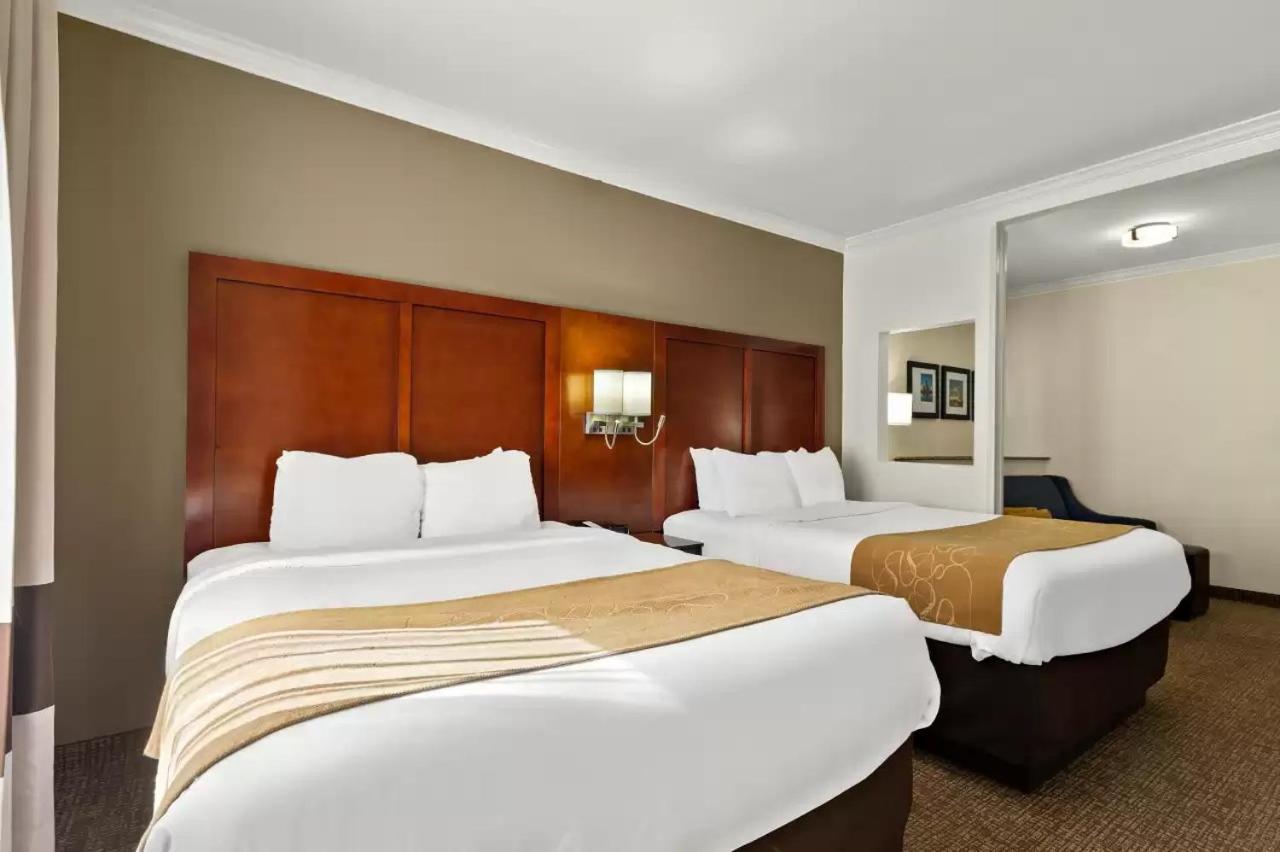 Comfort Suites Central Корпъс Кристи Екстериор снимка