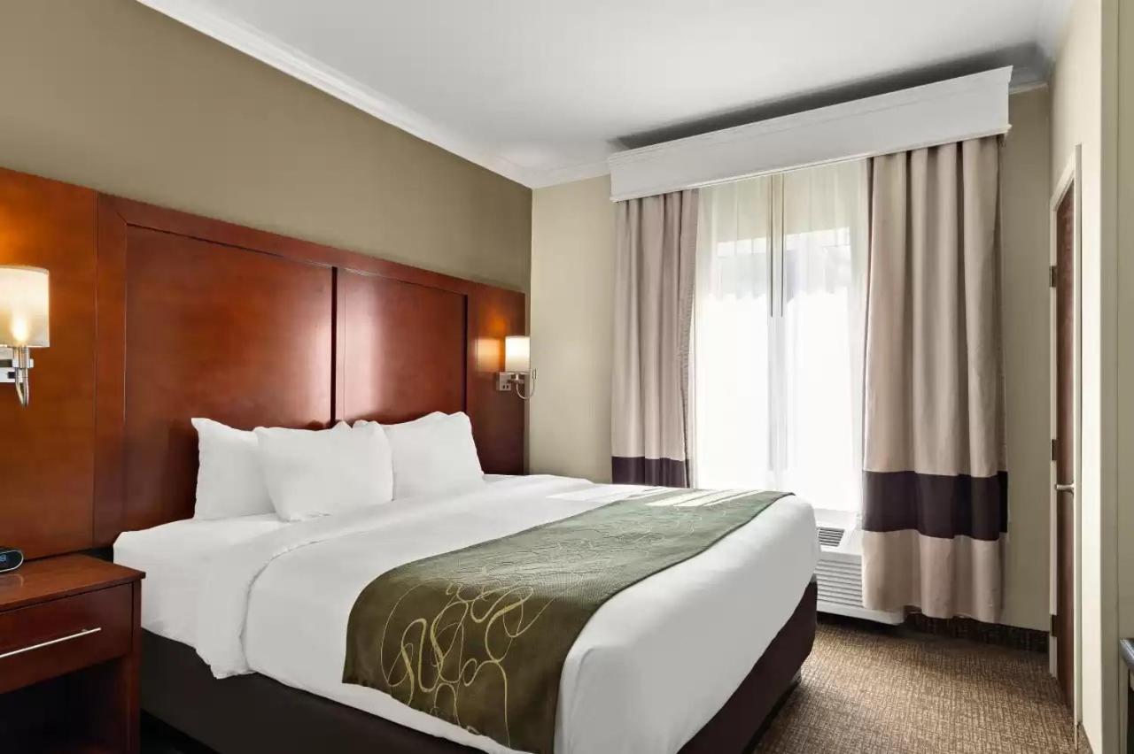 Comfort Suites Central Корпъс Кристи Екстериор снимка